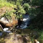 招待所 艾尔特沃格特索夫旅馆