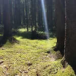 艾尔特沃格特索夫旅馆