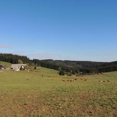Gasthof Altvogtshof 3*