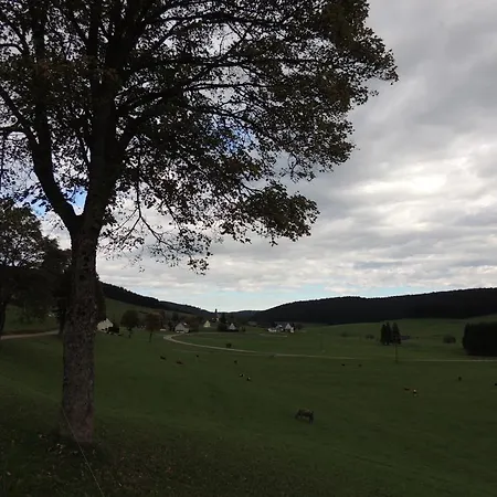 Altvogtshof Gasthof 3*