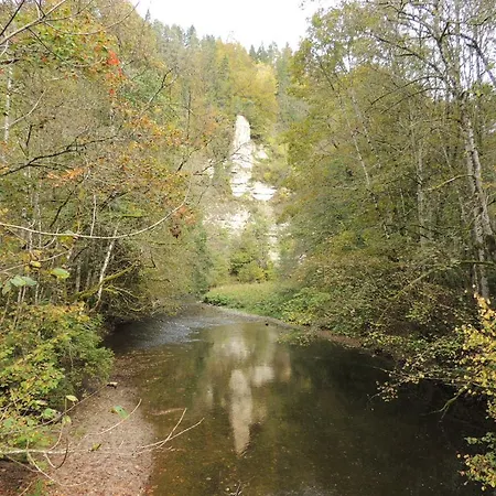 Altvogtshof Casa de hóspedes Eisenbach (Breisgau-Hochschwarzwald)