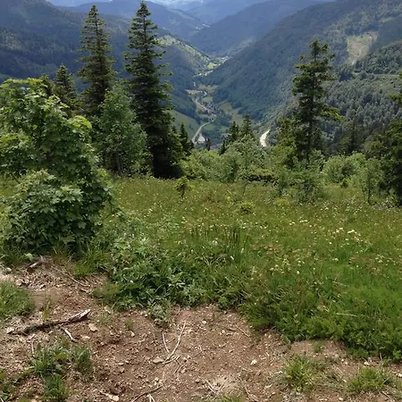 Gasthuis Altvogtshof Eisenbach (Breisgau-Hochschwarzwald)