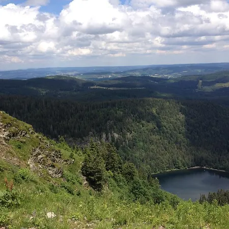 Altvogtshof Eisenbach (Breisgau-Hochschwarzwald)