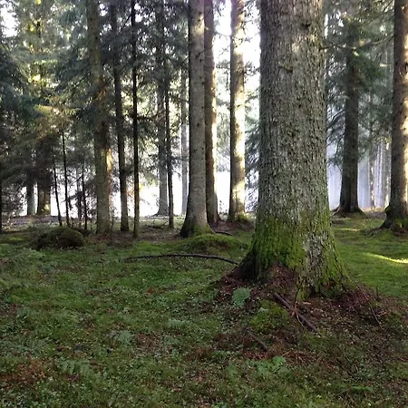 Altvogtshof Eisenbach (Breisgau-Hochschwarzwald)